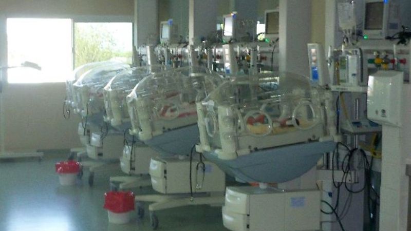 ¿Cuántos bebés nacieron en agosto en la Maternidad?