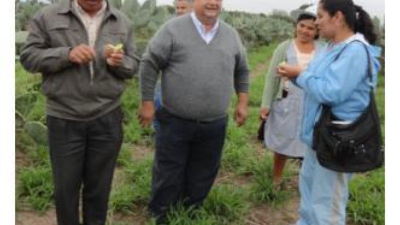 Alcaldes del exterior estudian el Modelo Productívo Icaño