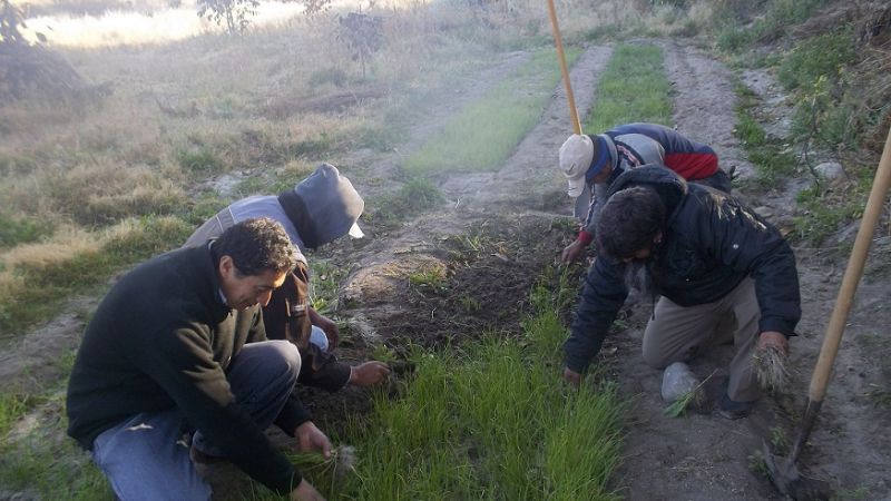 “Queremos reactivar las huertas familiares”