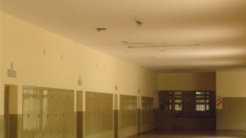 Casi total acatamiento al paro en la ENET