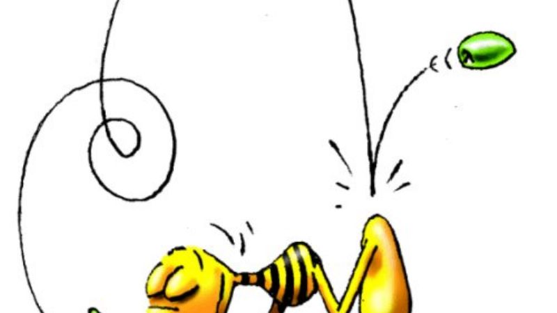 La muerte de Caloi toca muy de cerca a Catamarca