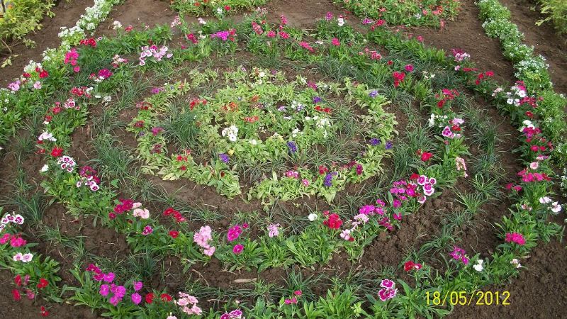 Realizan trabajos en la plaza 25 de Mayo