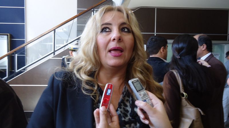 Veaute pide a CFK reglamentar decreto sobre la promoción industrial