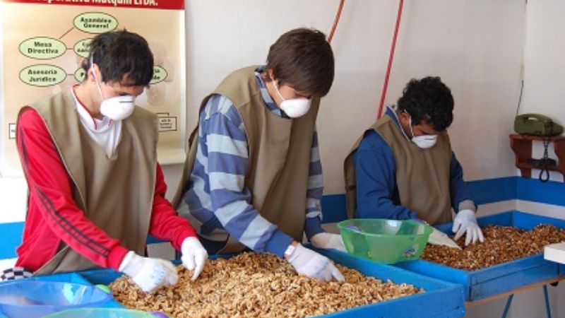 Cooperativa de Mutquín inauguró instalaciones