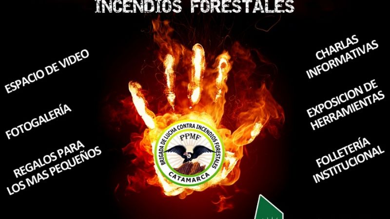 Actividades por el Día del Brigadista forestal