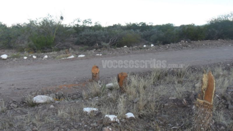 Se robaron portón de ingreso a las Termas “La Aguadita”