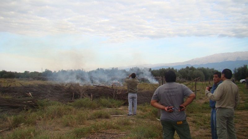 Inspeccionan campos ubicados sobre la ruta 33