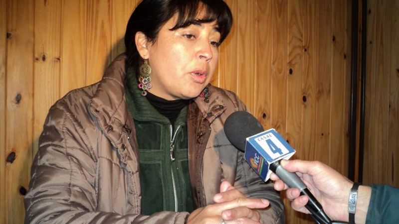 Nunca tuvieron la intención de participar en la interna radical