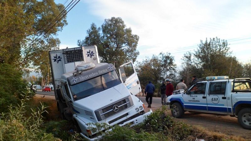 Volcó un camión al chocar contra un árbol