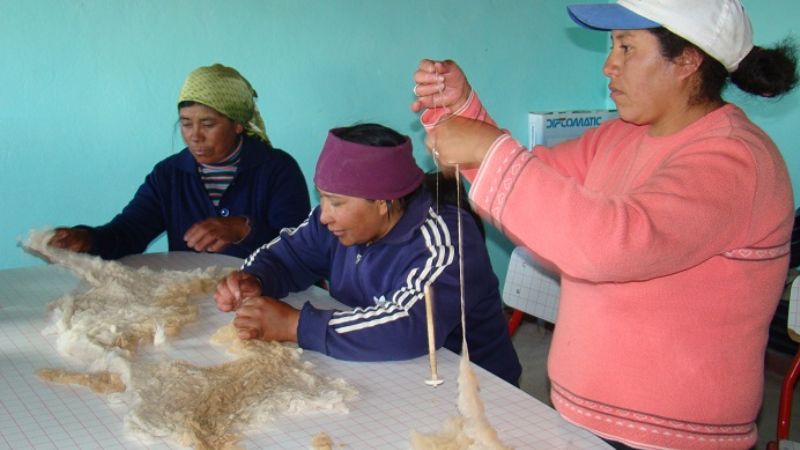 Venta de fibra de vicuña en Capital