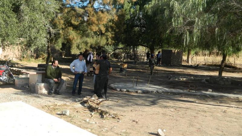 Puesta en valor del árbol centenario