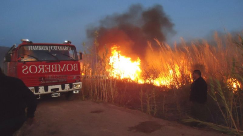 Fiambalá: voraz incendio en viñedos