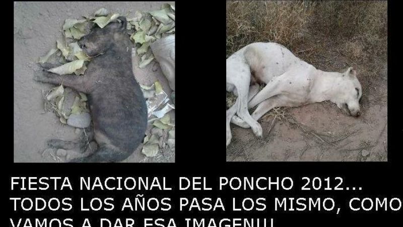 En Facebook denuncian matanza de perros en el Predio Ferial