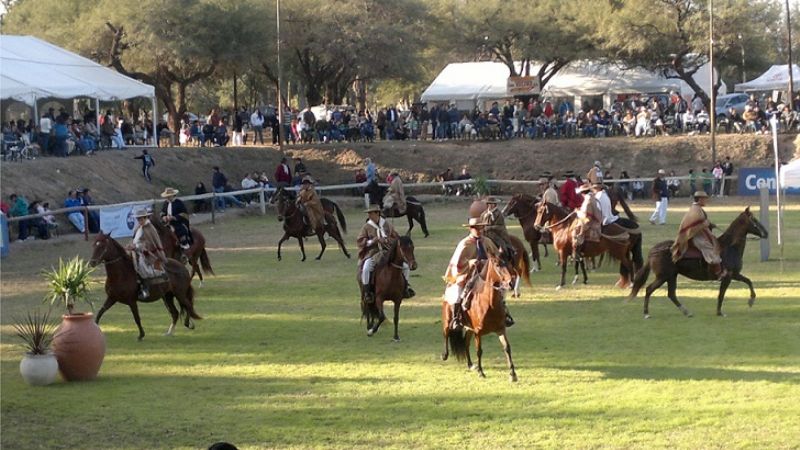 Mañana abre el Concurso de Caballos Peruano de Paso