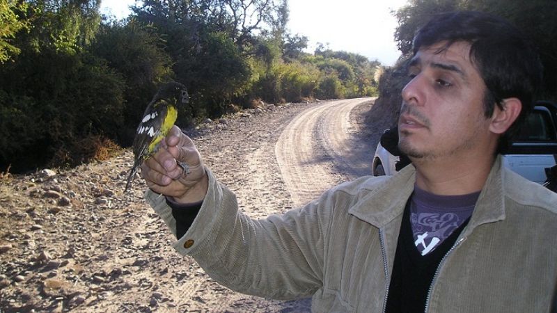 Secuestran y liberan aves nativas en Chumbicha