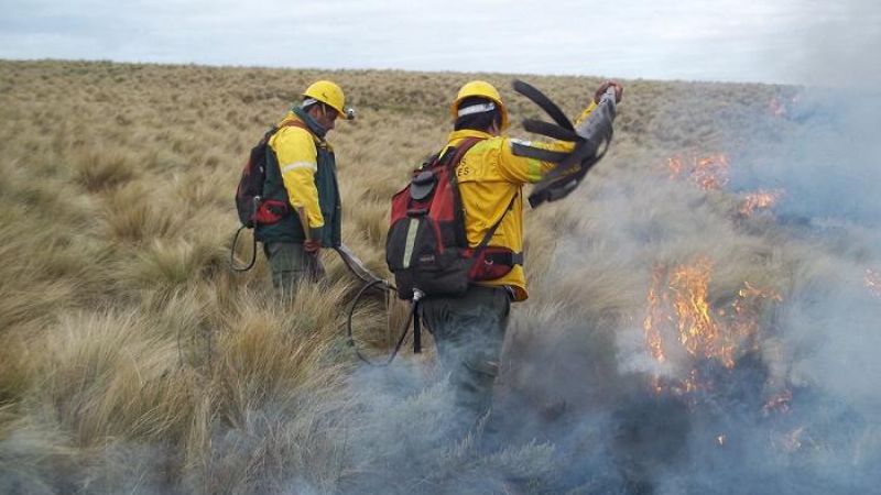 Comienza la temporada alta de incendios forestales