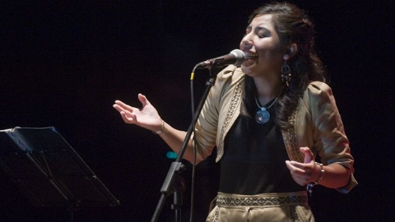 “Catamarca Profunda” se engalanó con artistas del Valle Calchaquí