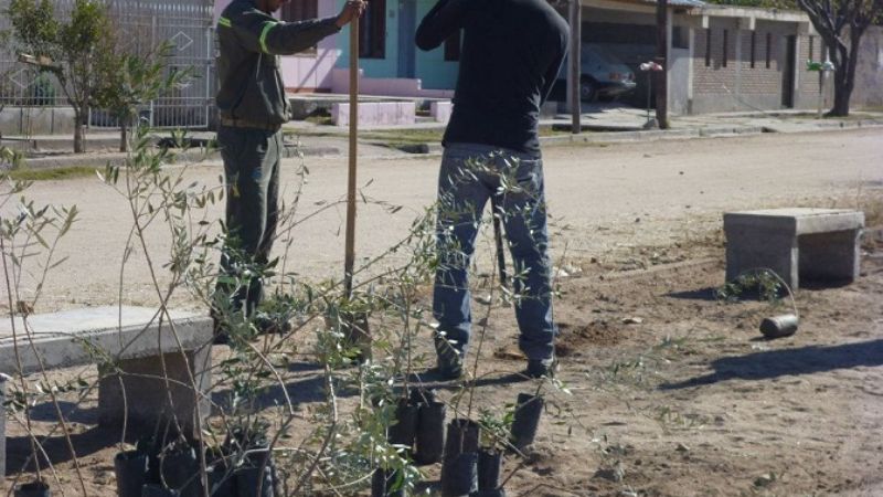 Recuperación de una cancha de fútbol abandonada