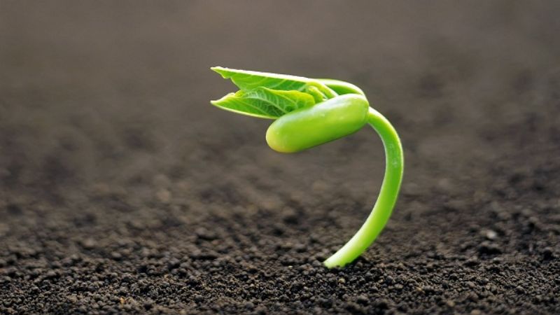 Catamarca sede de la 3º Feria Nacional de las Semillas Nativas y Criollas