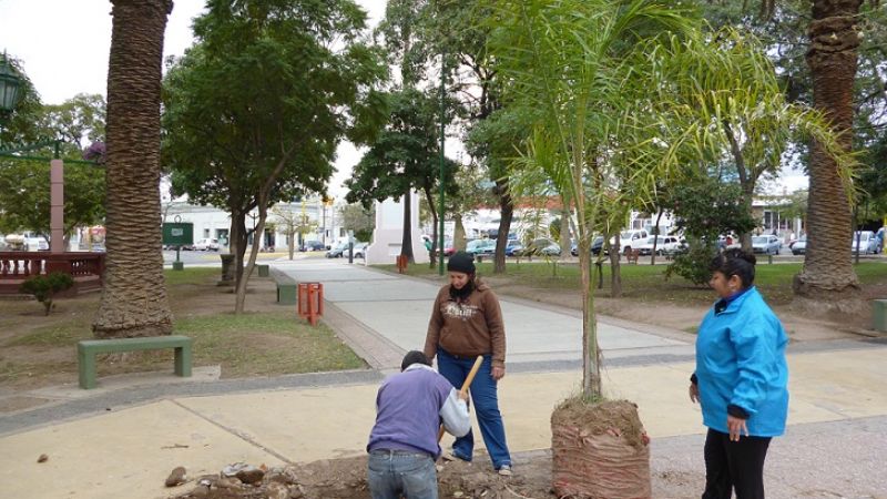 Plan de forestación anual para la Capital