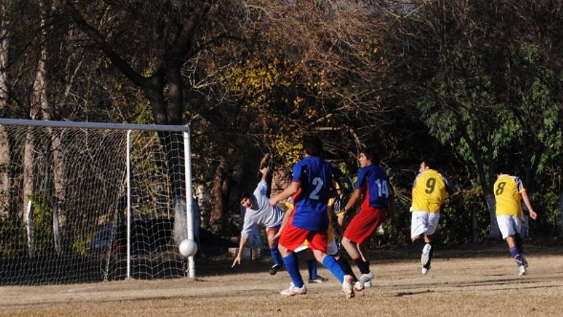 La Interprofesional inicia búsqueda de campeones