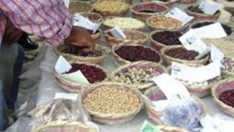 Se presenta la Feria de Semillas   