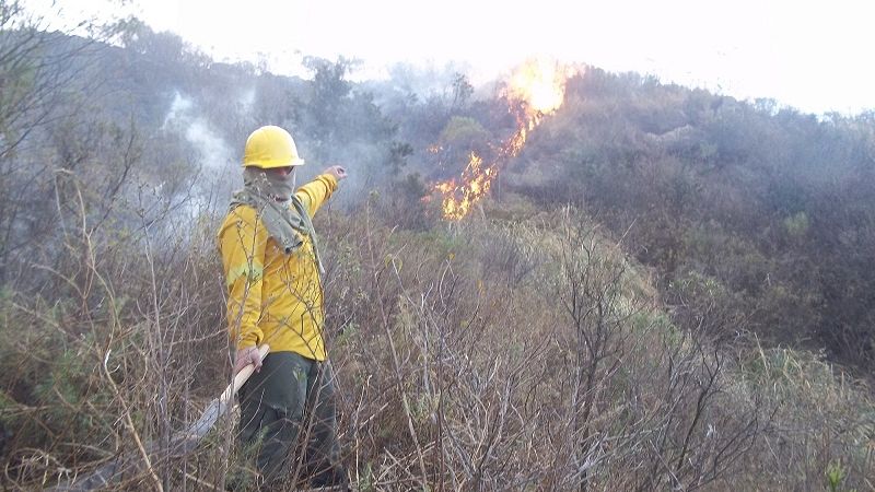 Controlado el incendio de Ambato