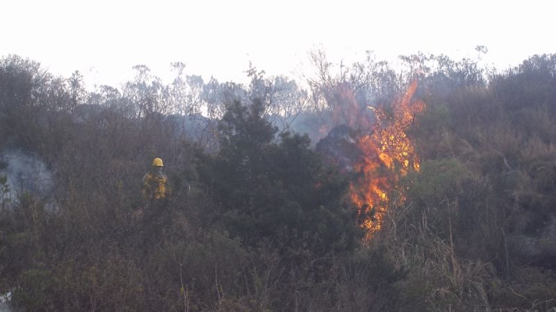 Controlado el incendio de Ambato