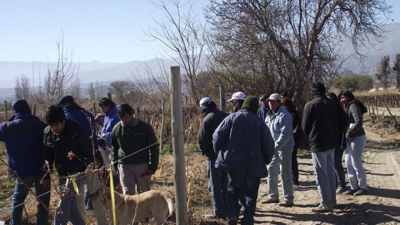 Importante capacitación para viñateros en Santa María