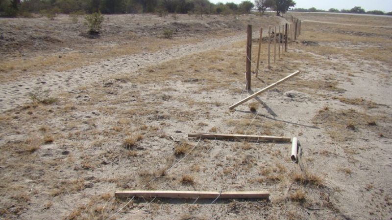 Roban postes y destruyen 300 metros de alambrado