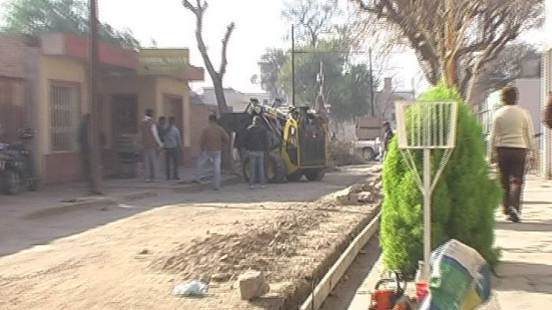 Tercera etapa del Plan de Forestación Municipal