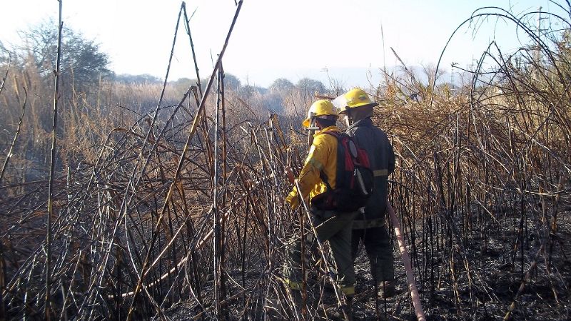 Incendio de cañaveral en Valle Viejo