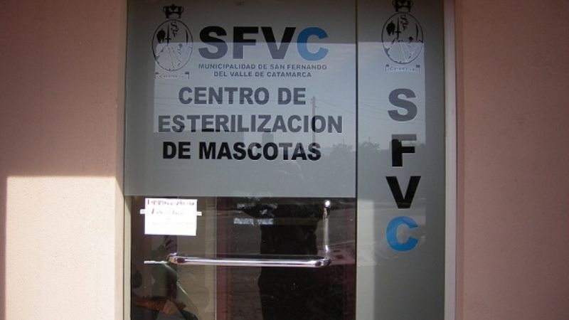 Campaña de esterilización felina