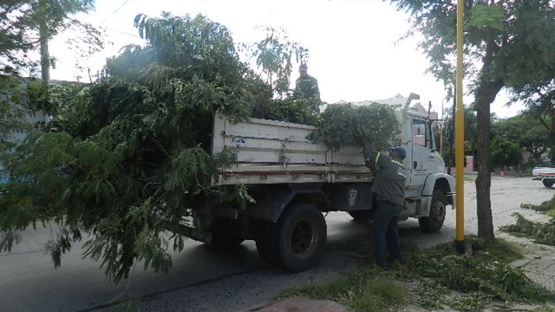 A pedido de los vecinos, continúa la poda en la ciudad