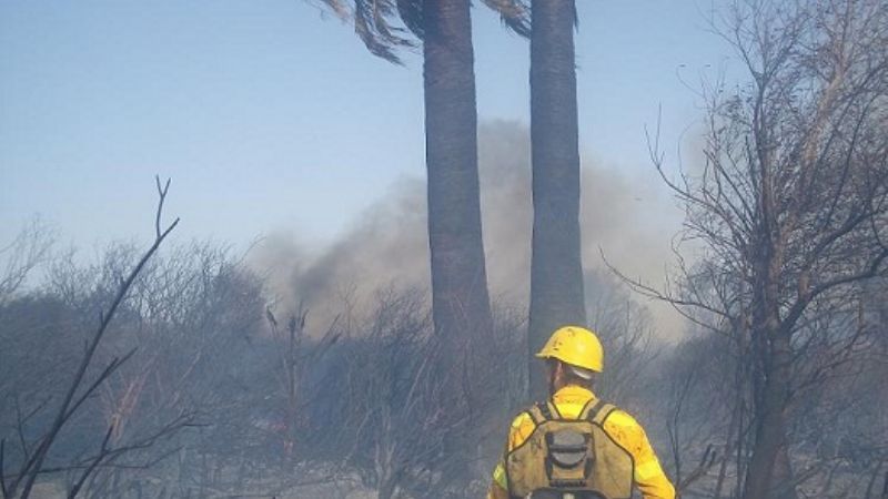 Incendio forestal en laderas de la ruta 1