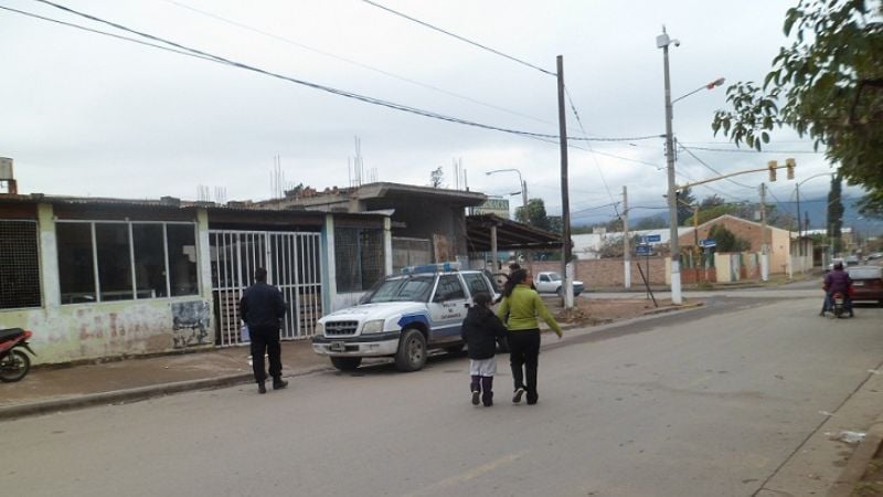 Aprehenden a un joven, y secuestran un caballo y plantines de marihuana