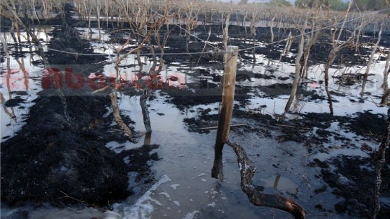 Productor viñatero sufrió graves quemaduras en su cuerpo