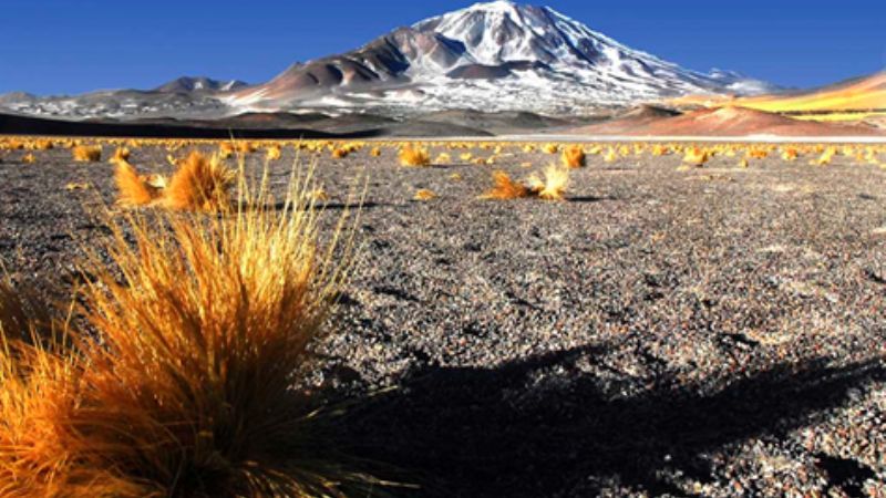 Seco-Rachid dueños del  CARTT en los “seismiles”