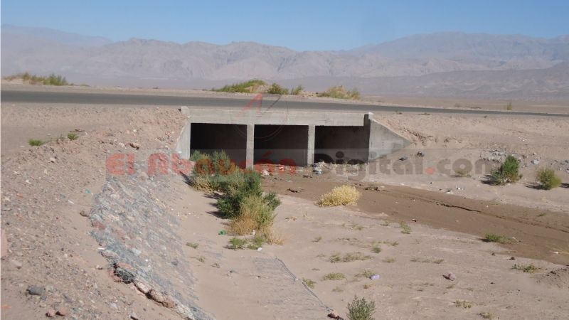 Feroz ataque a una mujer embarazada