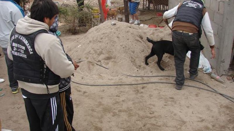 Importante operativo antidrogas