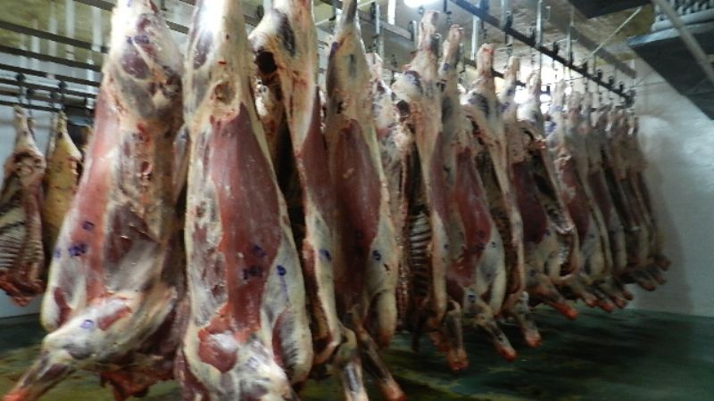 El Frigorífico Municipal dejará de faenar por diez días