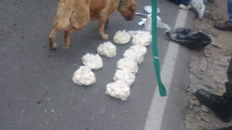Indagaron a los narcos que transportaban 5 kilos de cocaína
