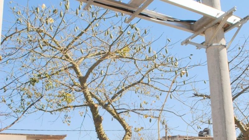 La Dra. Corpacci habilitó hoy importantes obras energéticas