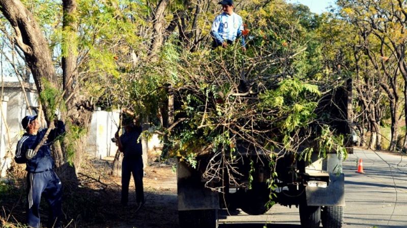 Campaña de poda de árboles en Valle Viejo 