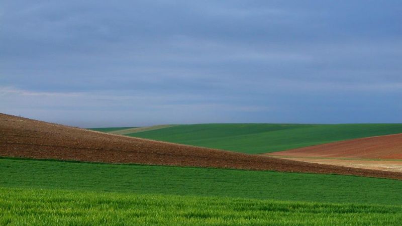 Tierras rurales en manos de extranjeros equivalen a 67 ciudades de Buenos Aires