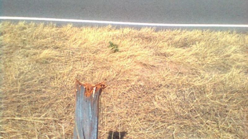 Nueva denuncia por destrucción de defensas en puentes de la Circunvalación