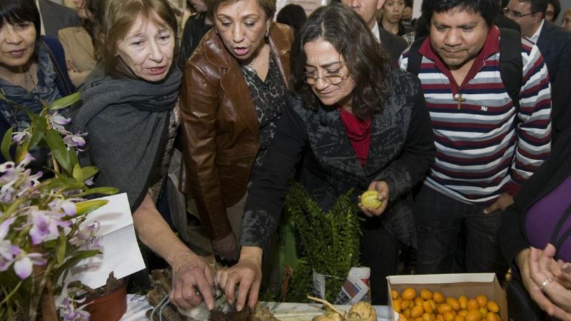 “Plantar la semilla para tener la soberanía genética de nuestra producción”