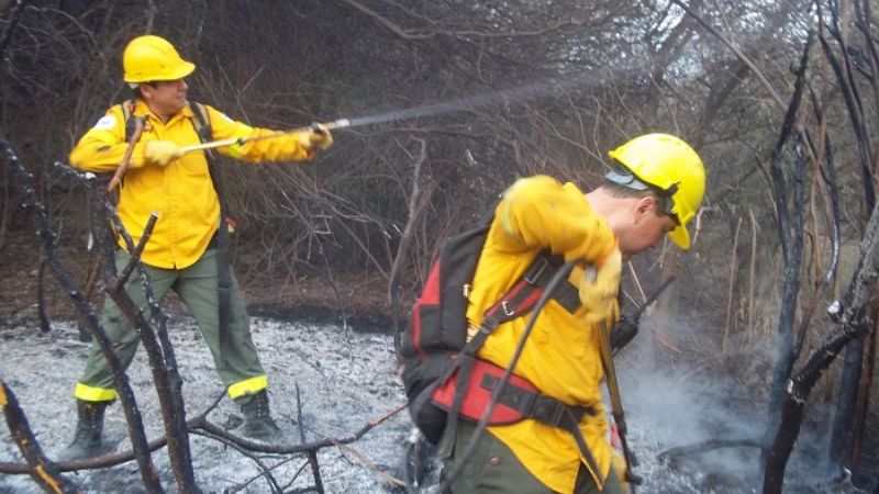 Incendio forestal camino a La Gruta 