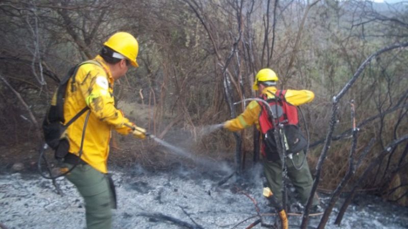 Incendio forestal camino a La Gruta 