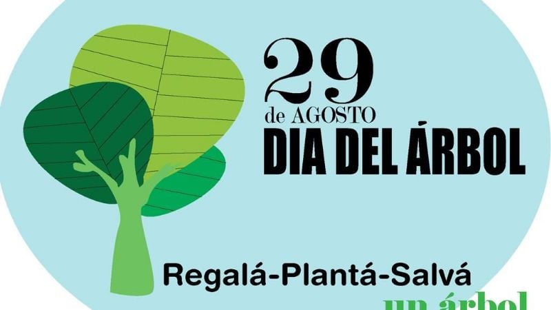 Día Mundial del Arbol